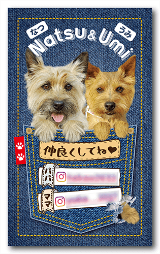 ペット名刺の表面画像