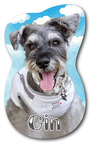 銀ちゃんの型抜きペット名刺画像