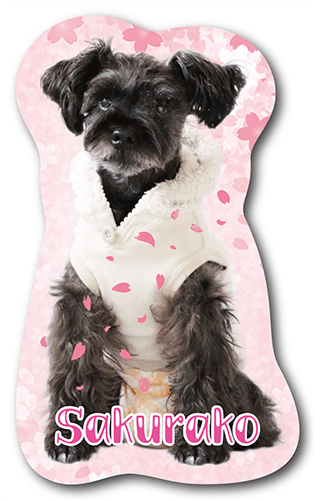 さくらこちゃんの型抜きペット名刺画像