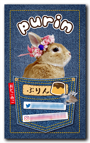 ペット名刺の表面画像