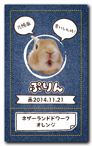 ペット名刺の裏面画像