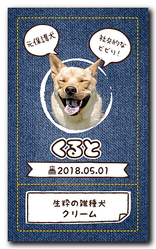 ペット名刺の裏面画像
