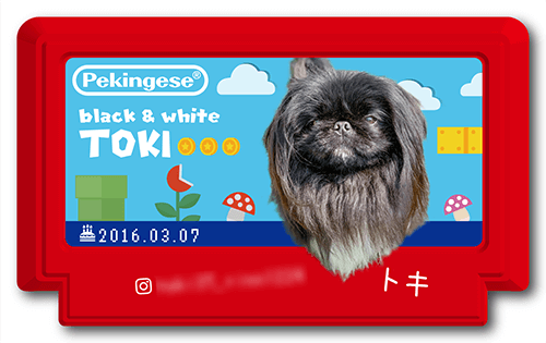 型抜きペット名刺の画像1