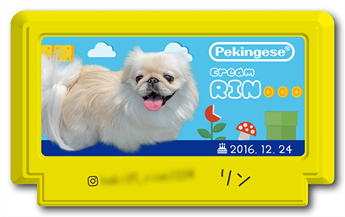 型抜きペット名刺の画像2