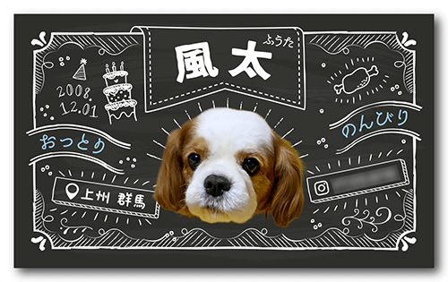 長方形ペット名刺の表面画像