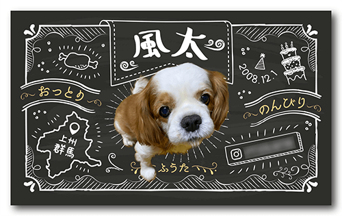 長方形ペット名刺の裏面画像