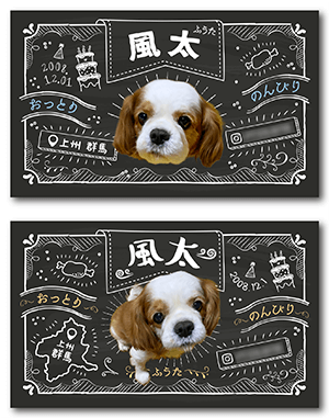 犬のペット名刺2種類