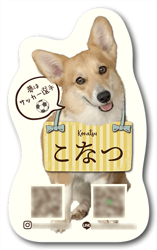 型抜きペット名刺画像