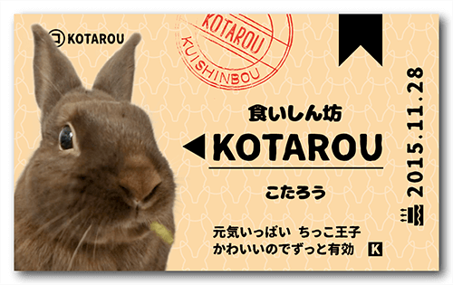 うさぎの長方形ペット名刺画像