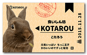 うさぎのペット名刺