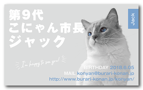 猫の長方形ペット名刺画像