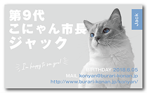 猫のペット名刺