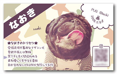 長方形ペット名刺の表面画像