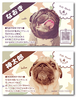 犬（多頭飼い）のペット名刺