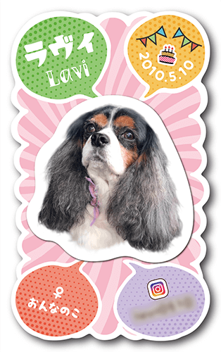 ペット名刺の表面画像