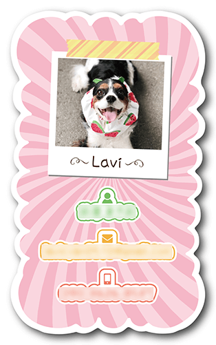 ペット名刺の裏面画像