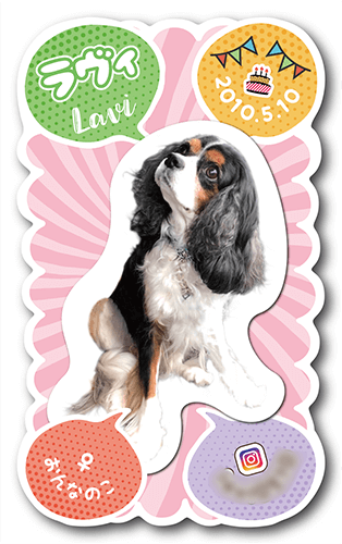 ペット名刺の表面画像