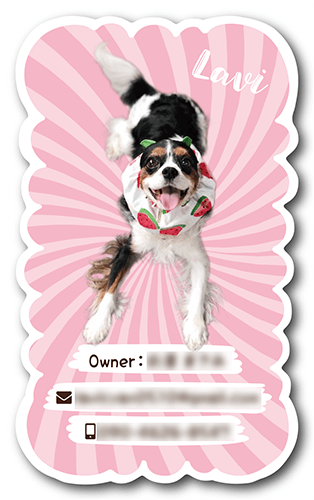 ペット名刺の裏面画像