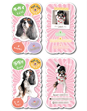 犬のペット名刺