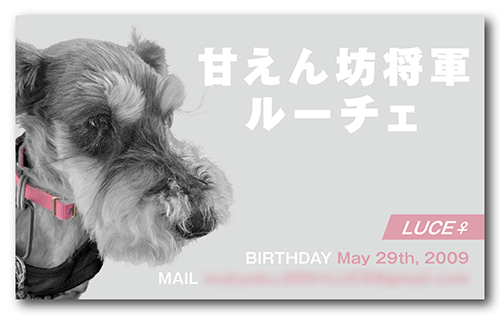 猫の長方形ペット名刺画像