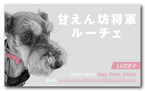 犬のペット名刺