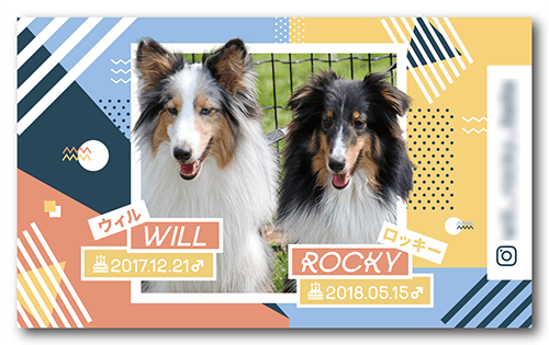 犬（多頭飼い）の長方形ペット名刺画像