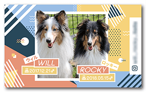 犬（多頭飼い）のペット名刺