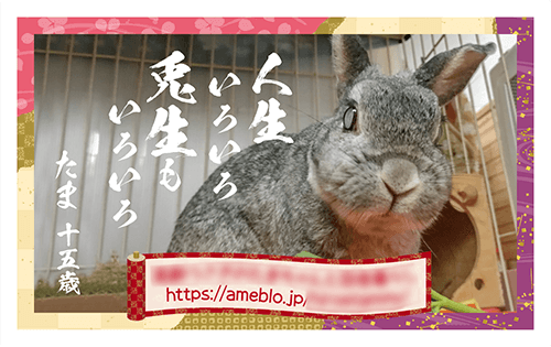 長方形ペット名刺の裏面画像