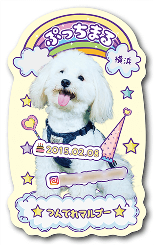 型抜きペット名刺の表面画像