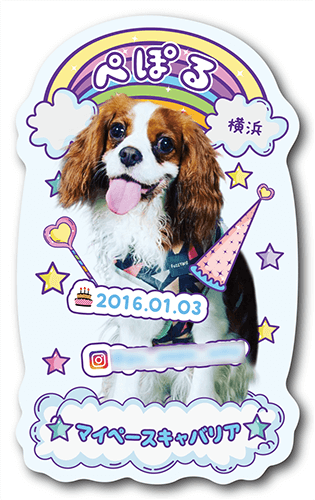 型抜きペット名刺の裏面画像