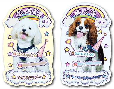 犬のペット名刺