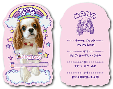 犬のペット名刺