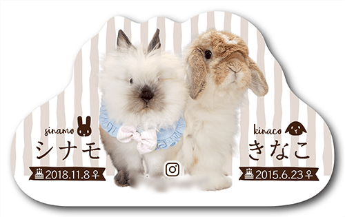 型抜きペット名刺の表面画像