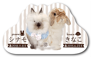 うさぎ（多頭飼い）のペット名刺