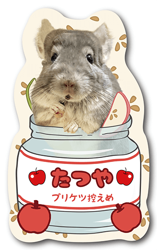 型抜きペット名刺の画像1