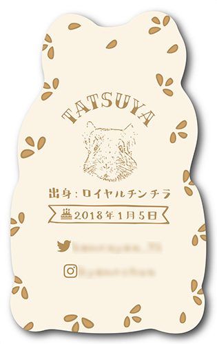 型抜きペット名刺の画像2