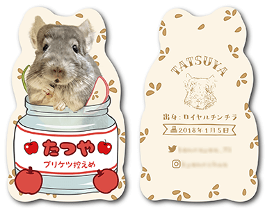 チンチラのペット名刺