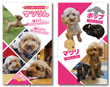 犬とうさぎの多頭飼いペット名刺