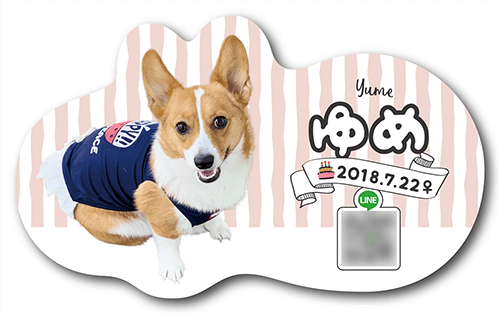 型抜きペット名刺の表面画像