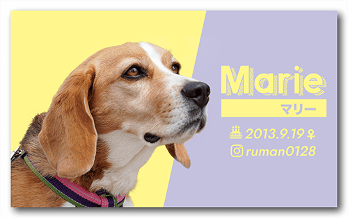 犬のペット名刺画像