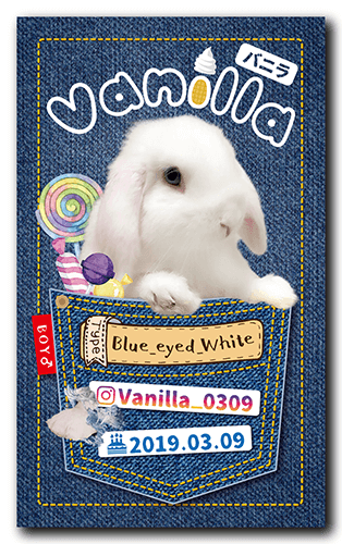 長方形ペット名刺画像