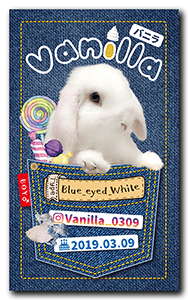 うさぎのペット名刺