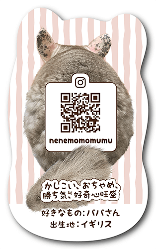 型抜きペット名刺の画像2