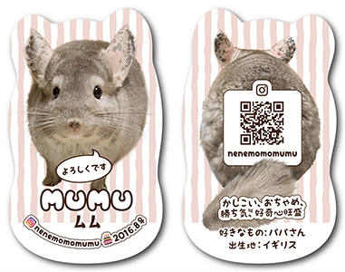 チンチラのペット名刺