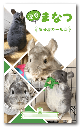 長方形ペット名刺画像