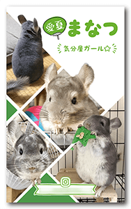 チンチラのペット名刺