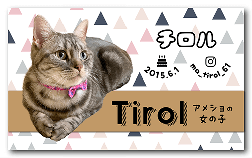 猫のペット名刺画像
