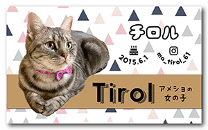 猫のペット名刺