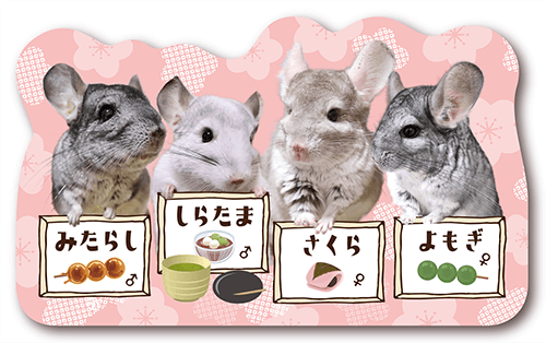 型抜きペット名刺の画像1