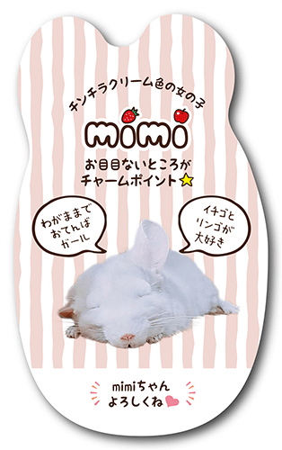 型抜きペット名刺の画像2